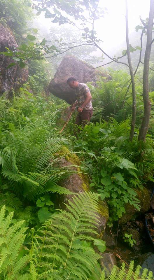 fb_img_1469166447235